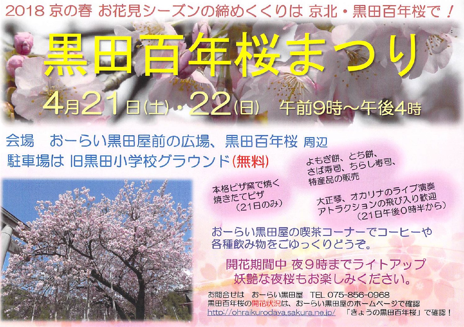 黒田百年桜まつり