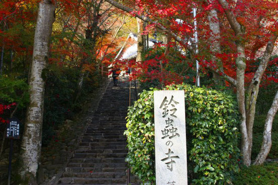 第17回さらんネット　ぶらり探訪　　「旧嵯峨街道」から 「京の山の辺の道」を行く