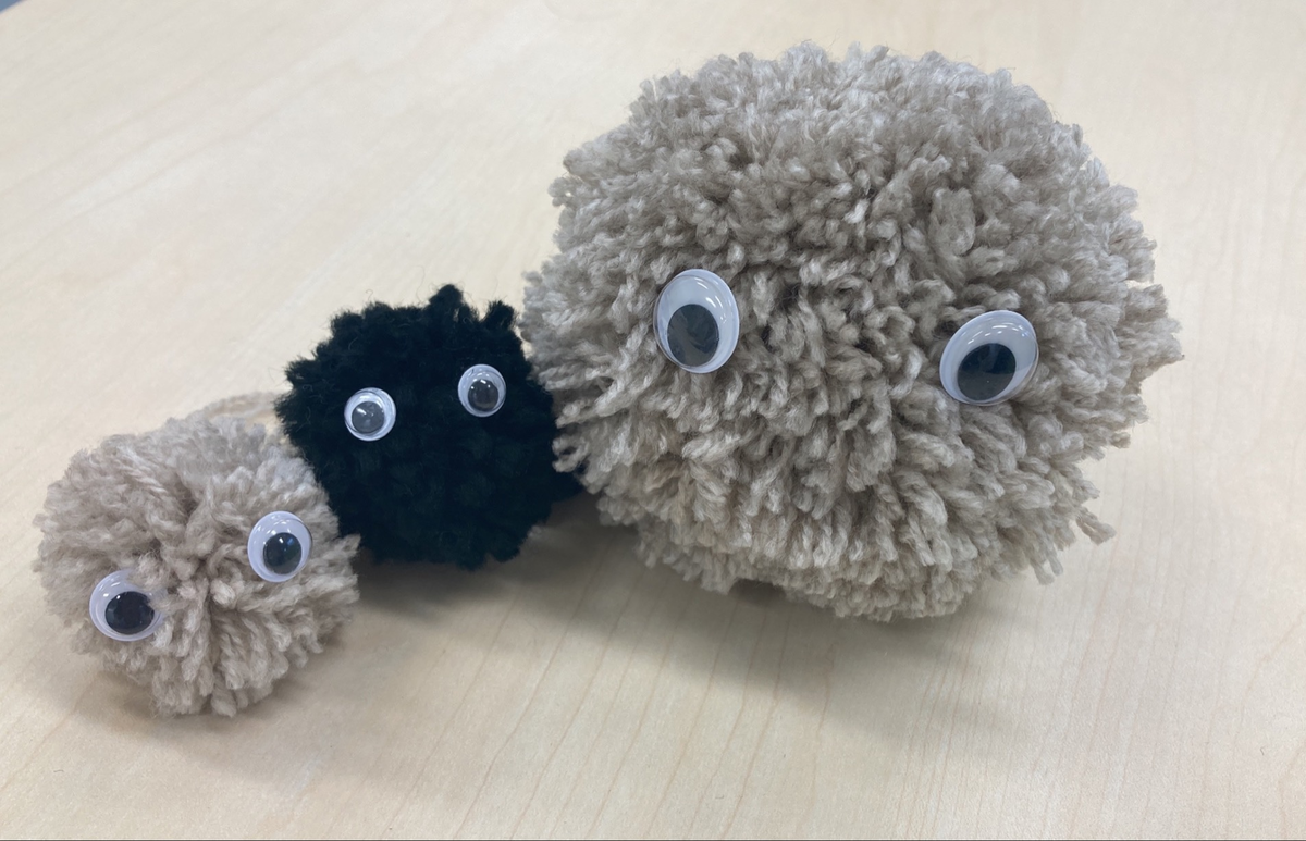 毛糸で作ろう!