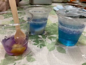 色鮮やかな「海のゼリー」