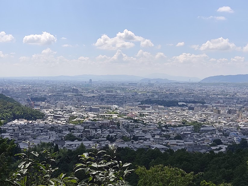 いくつ知っている？右京ネタ