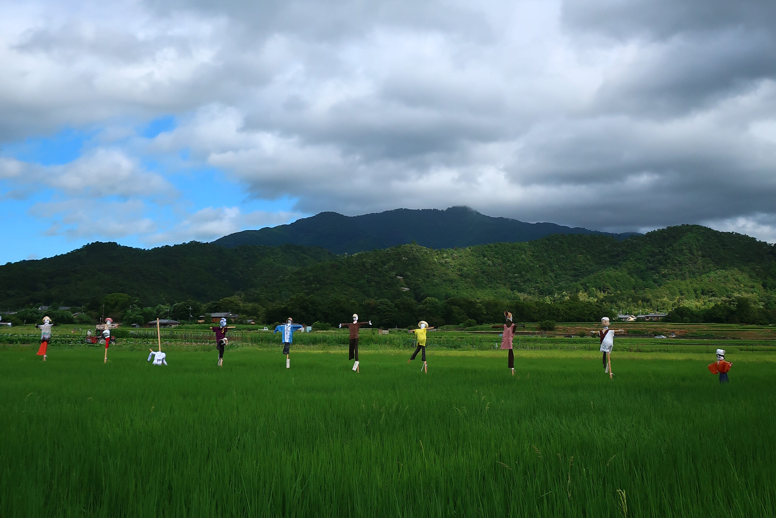 秋の風景~案山子~