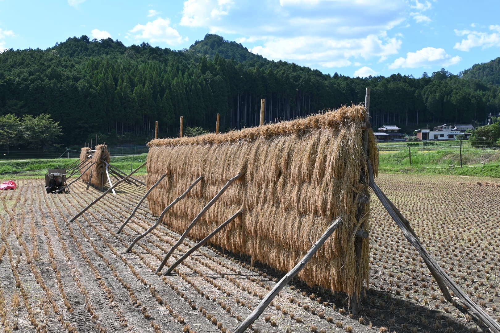日本の原風景に出会う