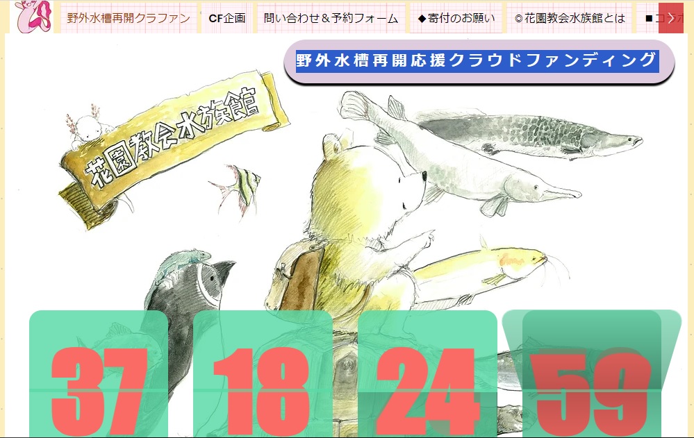野外水槽展示の再開したい！～花園教会水族館さんの応援クラウドファンディング～