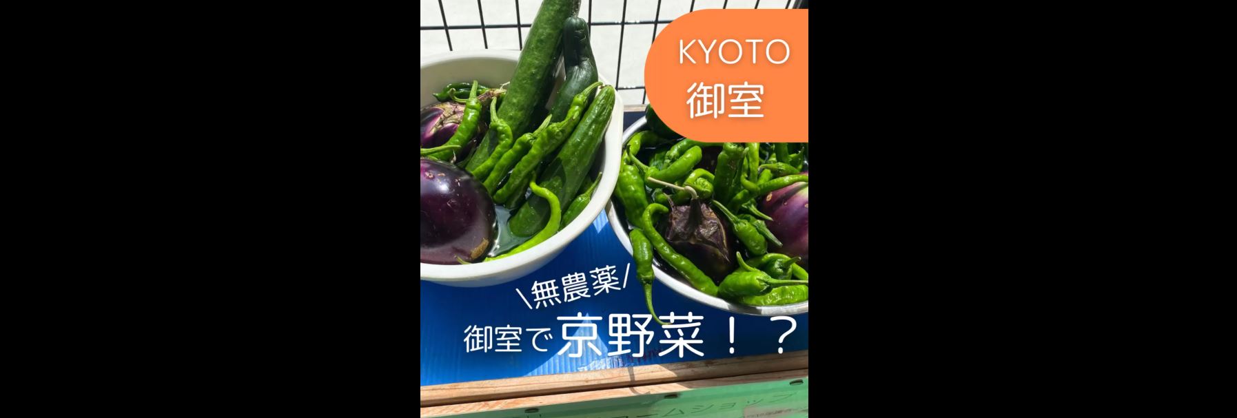 オムロファームショップ