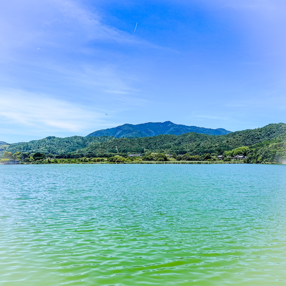 「広沢池」