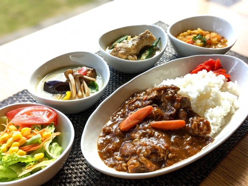 宇多野YHで海外を味わう「世界のカレーバイキングの日」(2024.8/30,追加開催9/1)