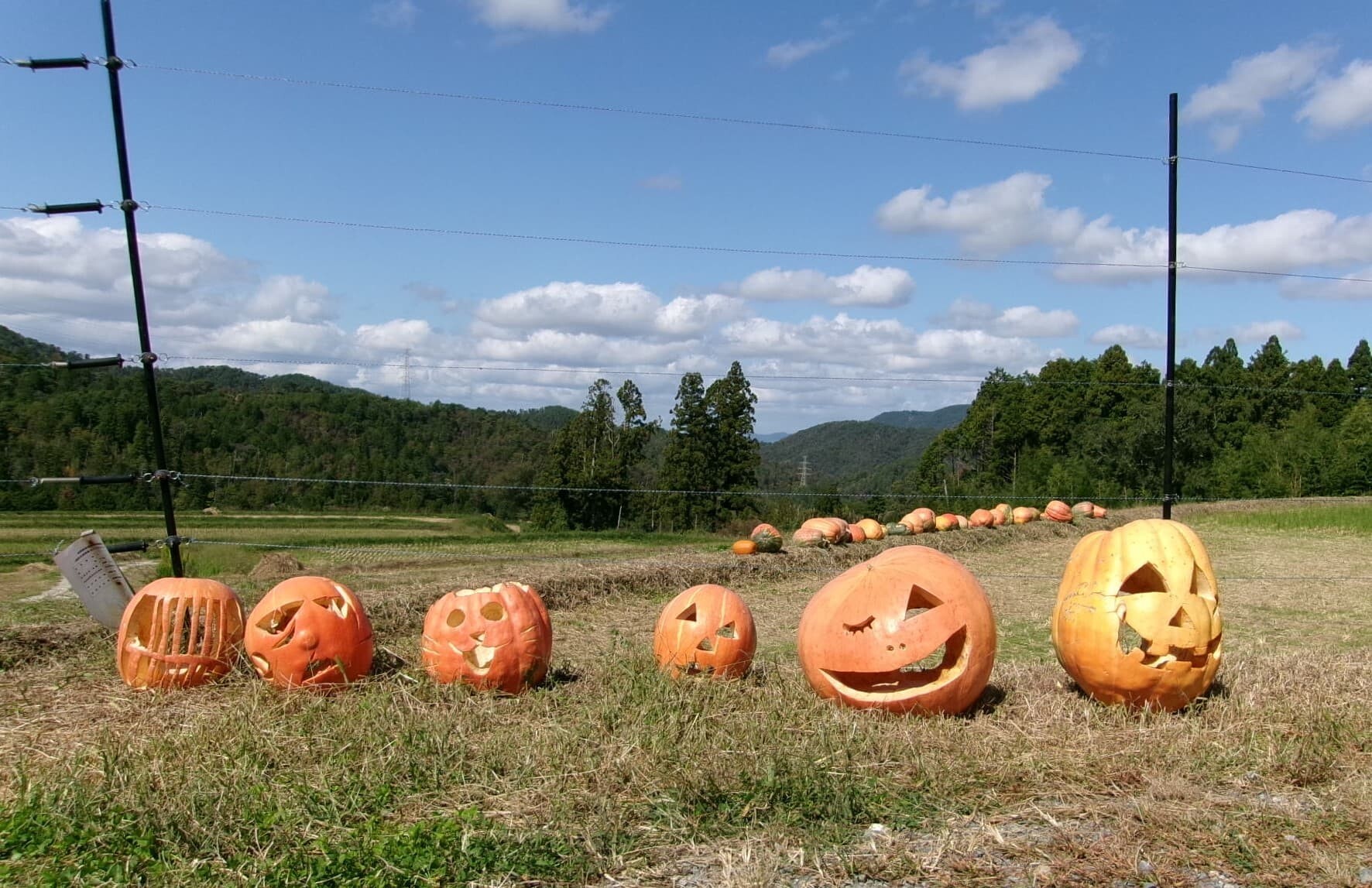 「宕陰ハロウィン祭2024」