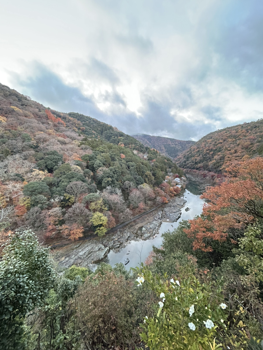 冬の嵐山