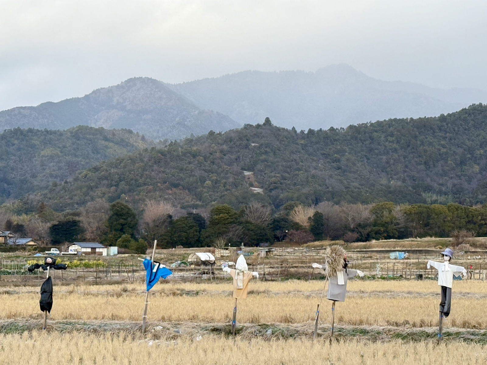 「地域のかかしのヒミツ」