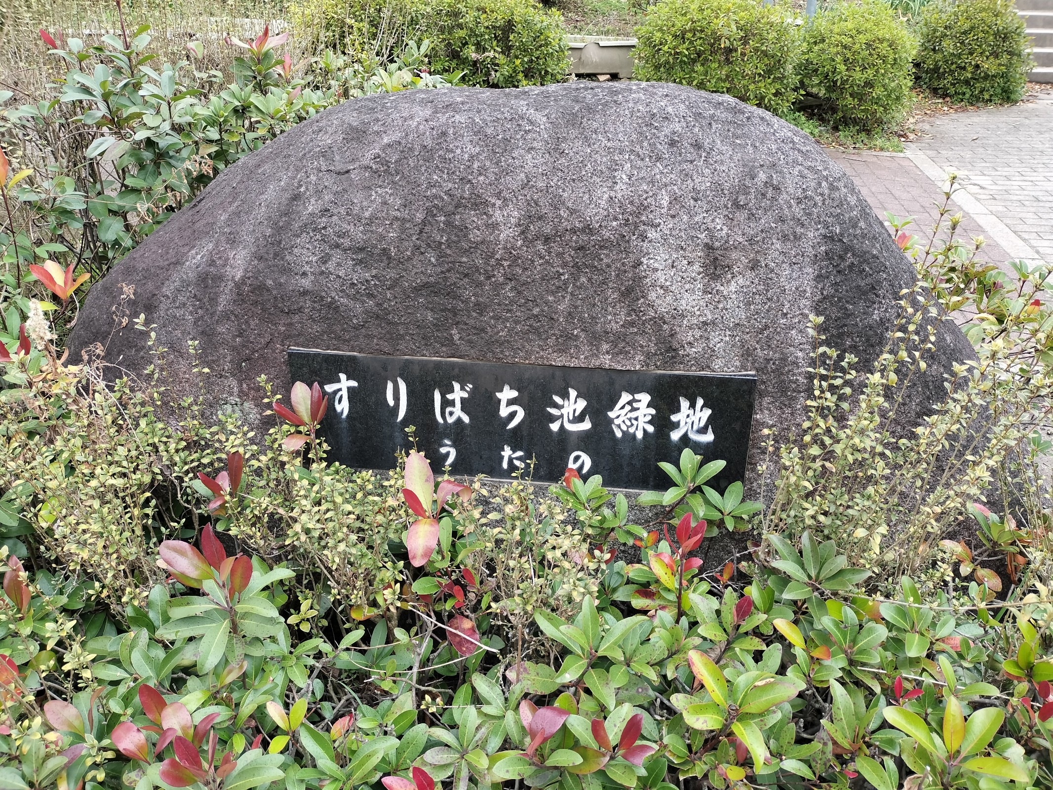 【早春の太秦】