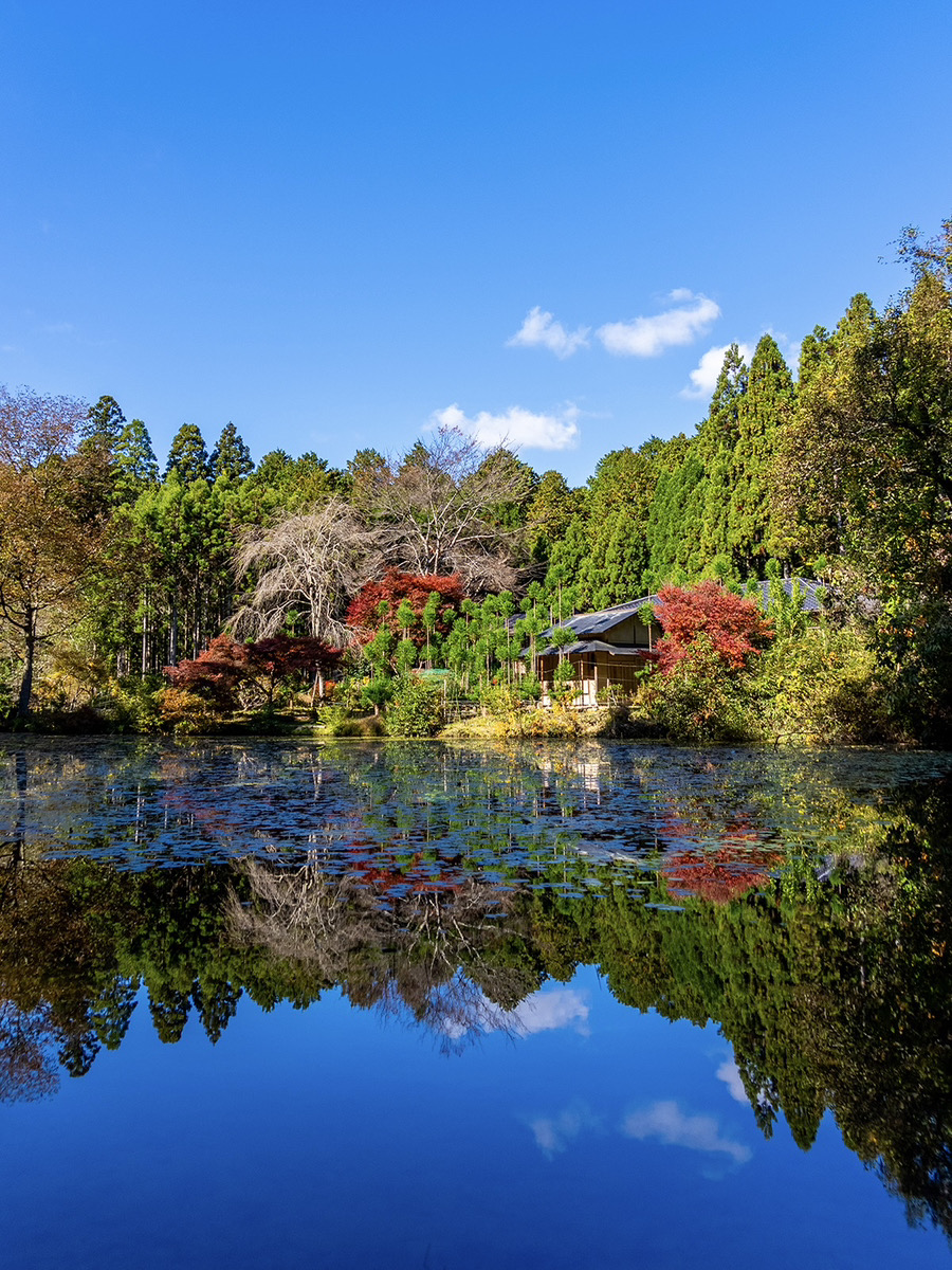 京北の紅葉