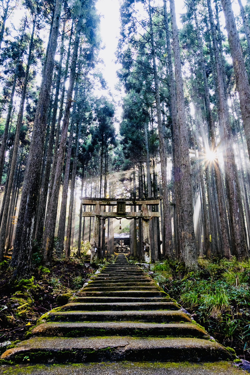 賀茂神社